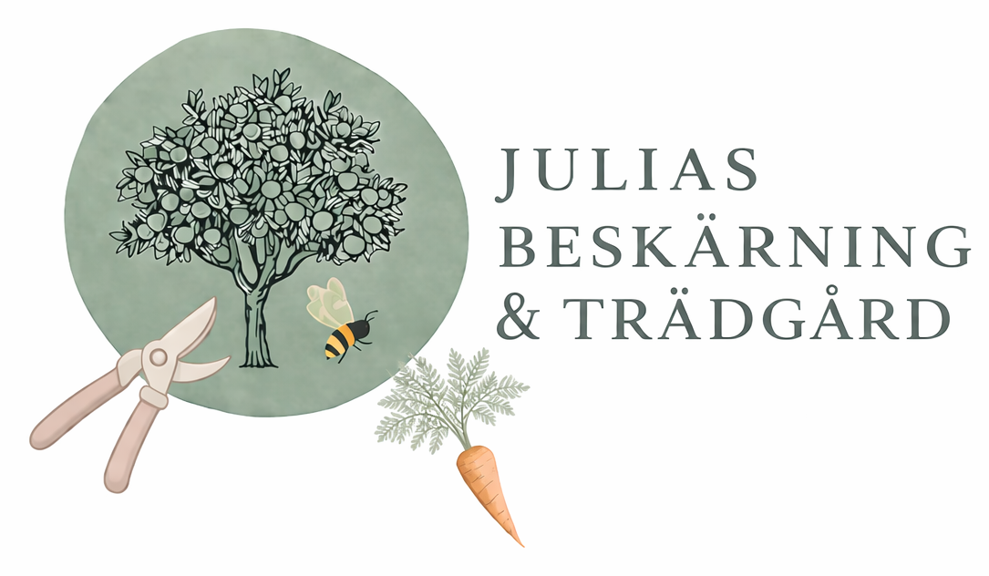 Julias Beskärning och Trädgård
